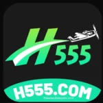 H555